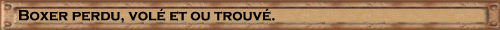 Boxer perdu, volé et ou trouvé