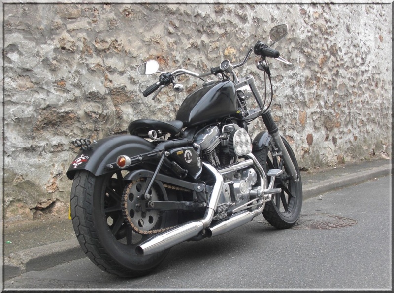Rigid Struts On Sportster Page 4 Harley Davidson Forums