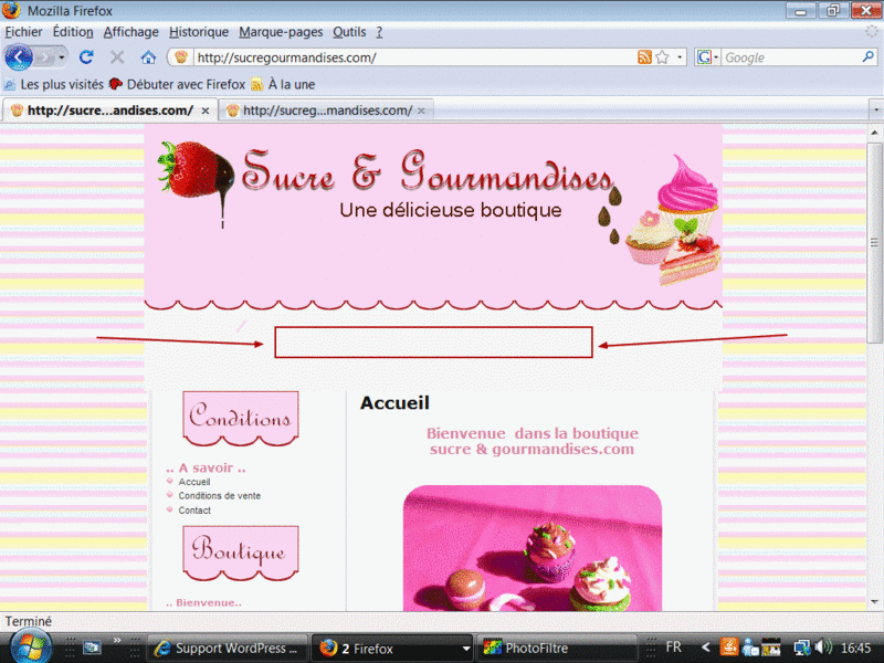monsit10.gif