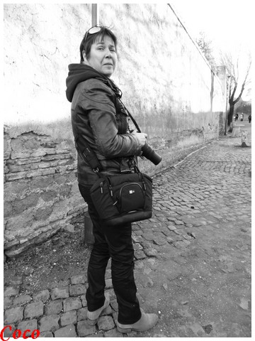 dscn6519 dans Mes coups de coeur...