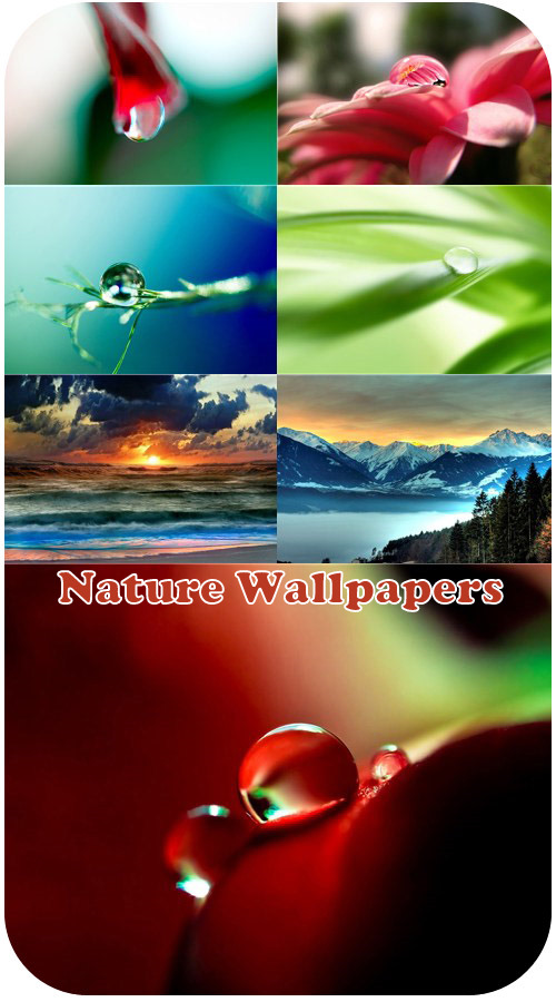 photographic wallpaper. Nature Photographic Wallpaper