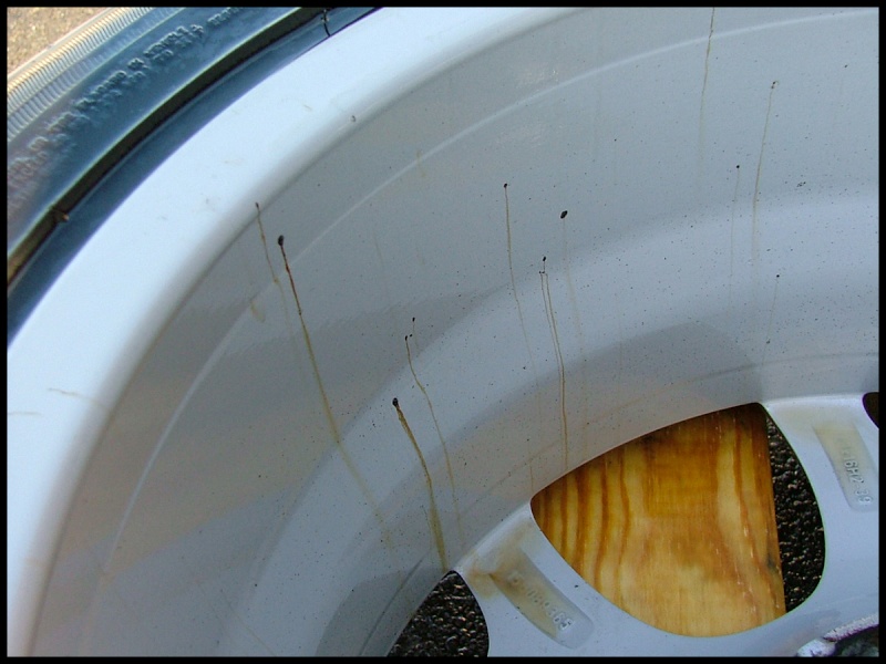 dscf3126.jpg