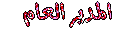 المدير المدير