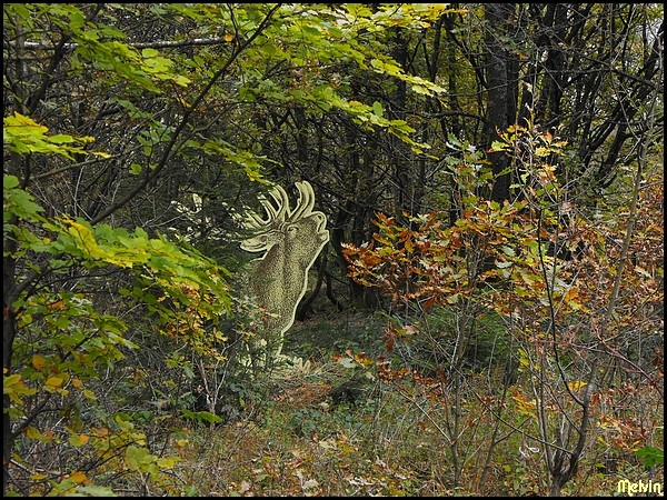 Image hébergée par servimg.com