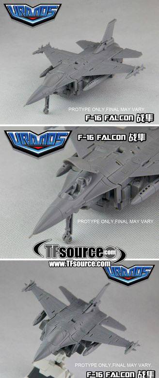 falcon13.jpg